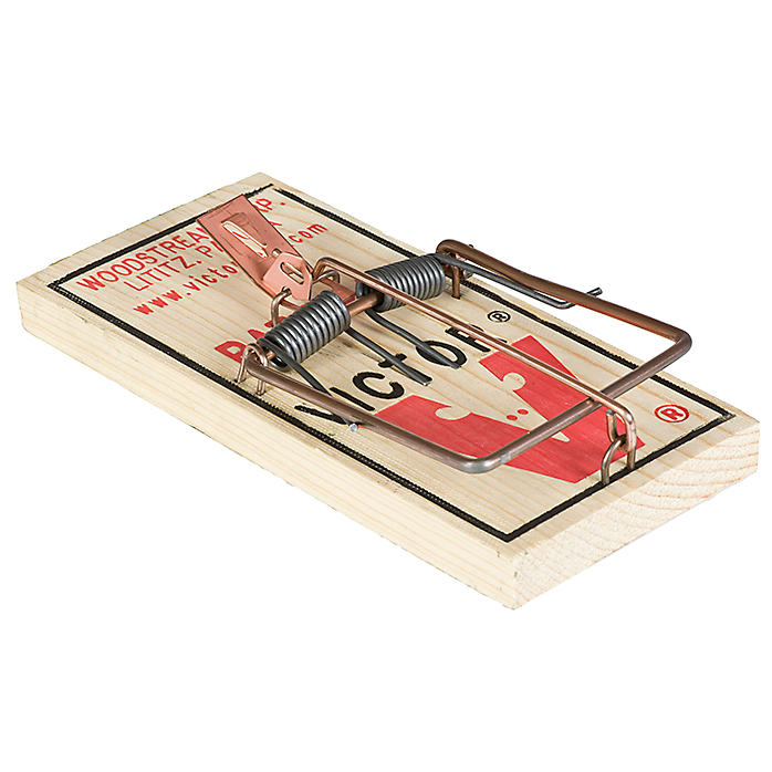 ������ ������ �� - ������