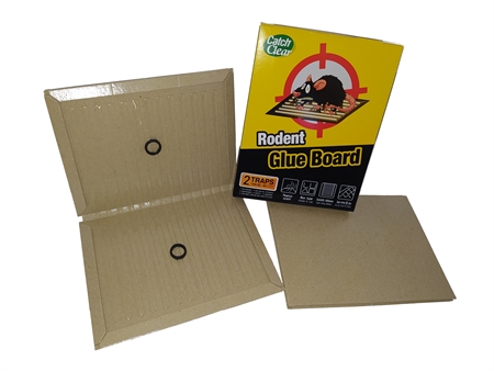 ��� ���� ������ �������